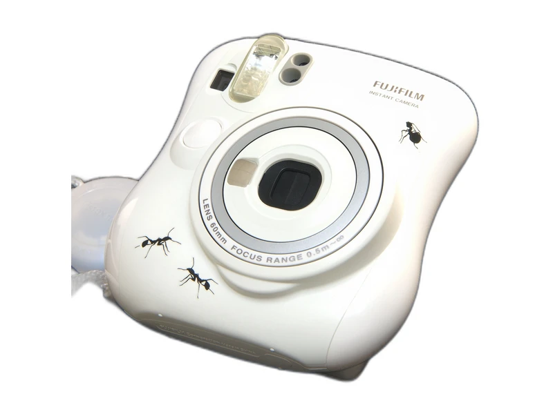 Fujifilm Instax Mini 25