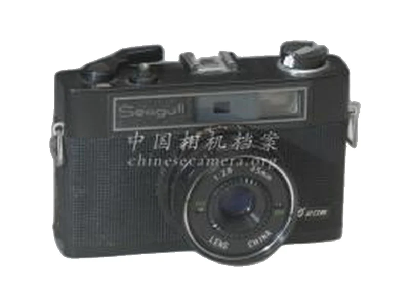 Seagull 206