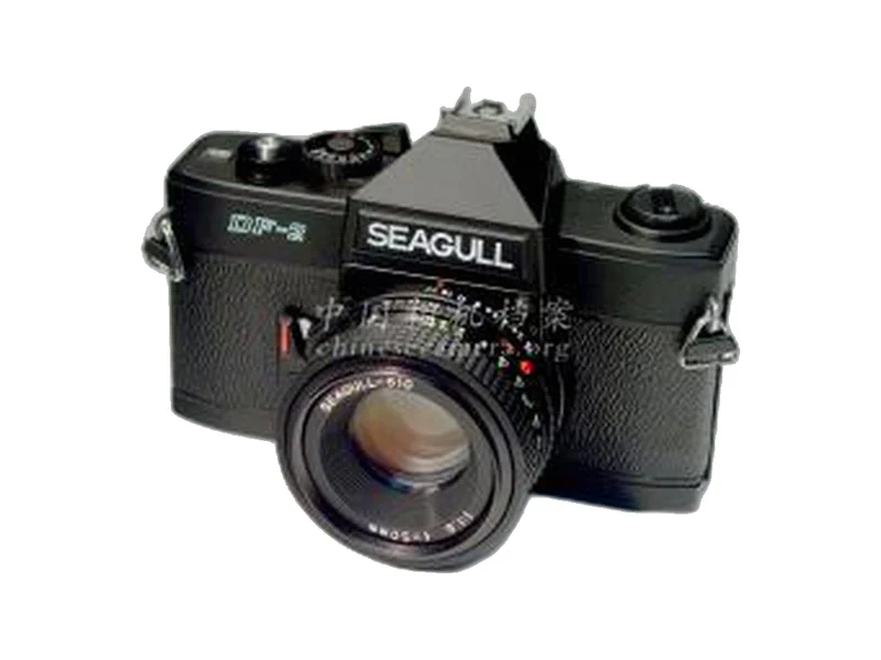Seagull 海鸥 DF-2
