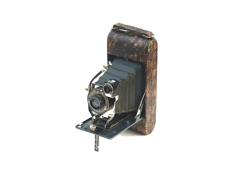 Ansco Readyset Royal No.1 Silberfuchs (silver fox)