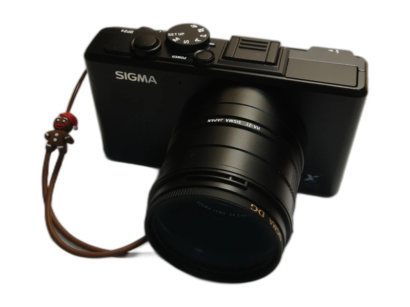 Sigma DP2s